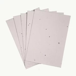 PLANTABLE THANK YOU CARDS