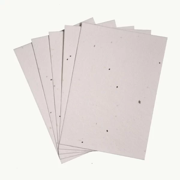 PLANTABLE THANK YOU CARDS