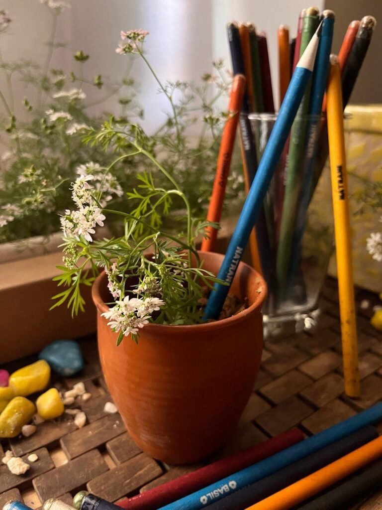 Plantable Pencils
