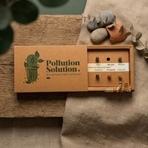 Pollution Solution Box