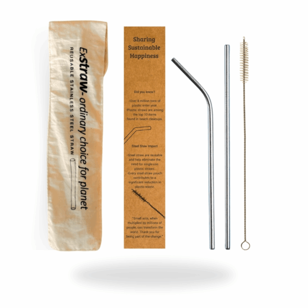Reusable Metal Straw Set