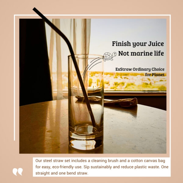 Reusable Metal Straw Set - Image 4